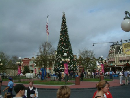 Christmas tree on Main Street USA